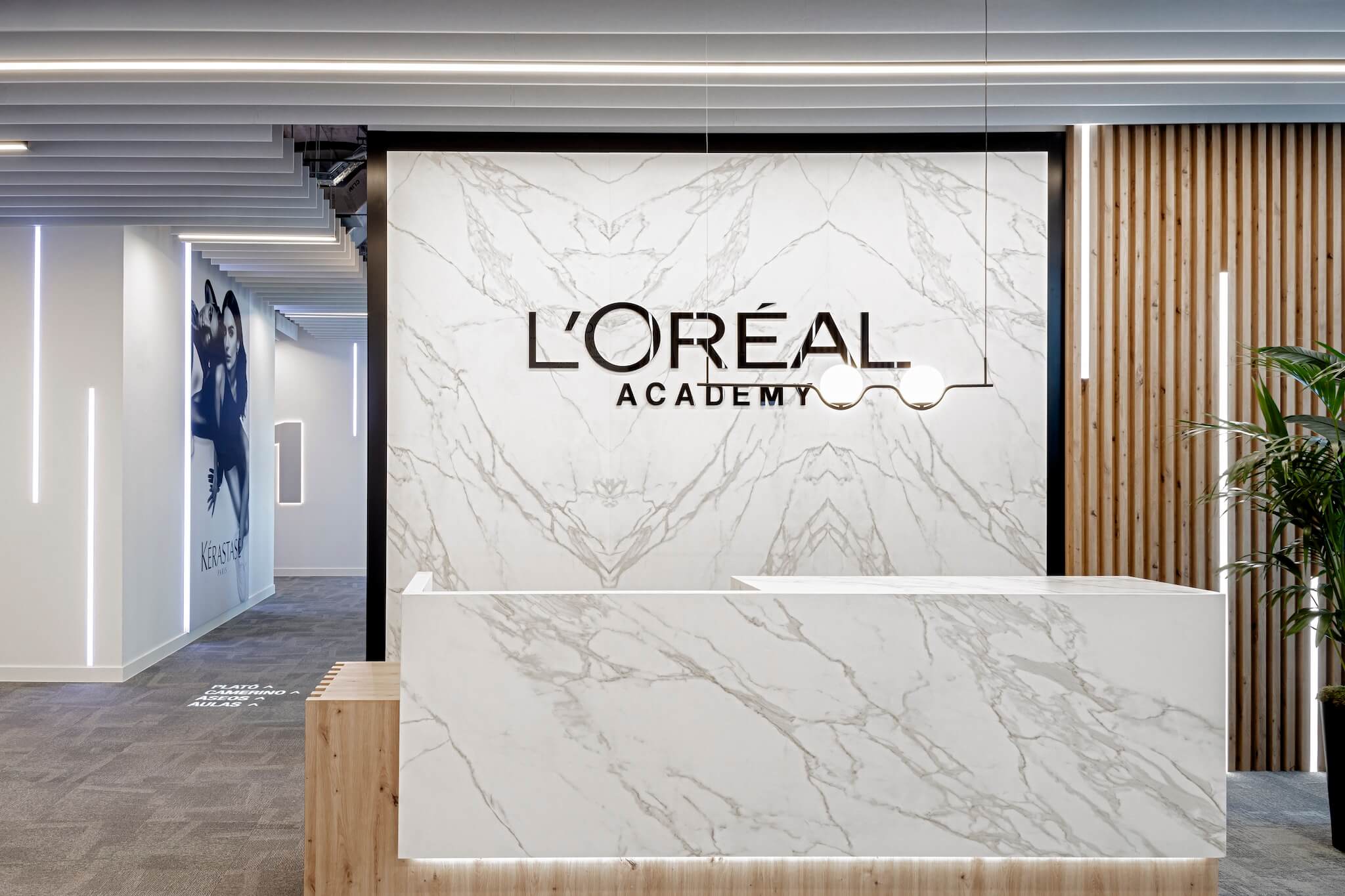 Loreal academy4426